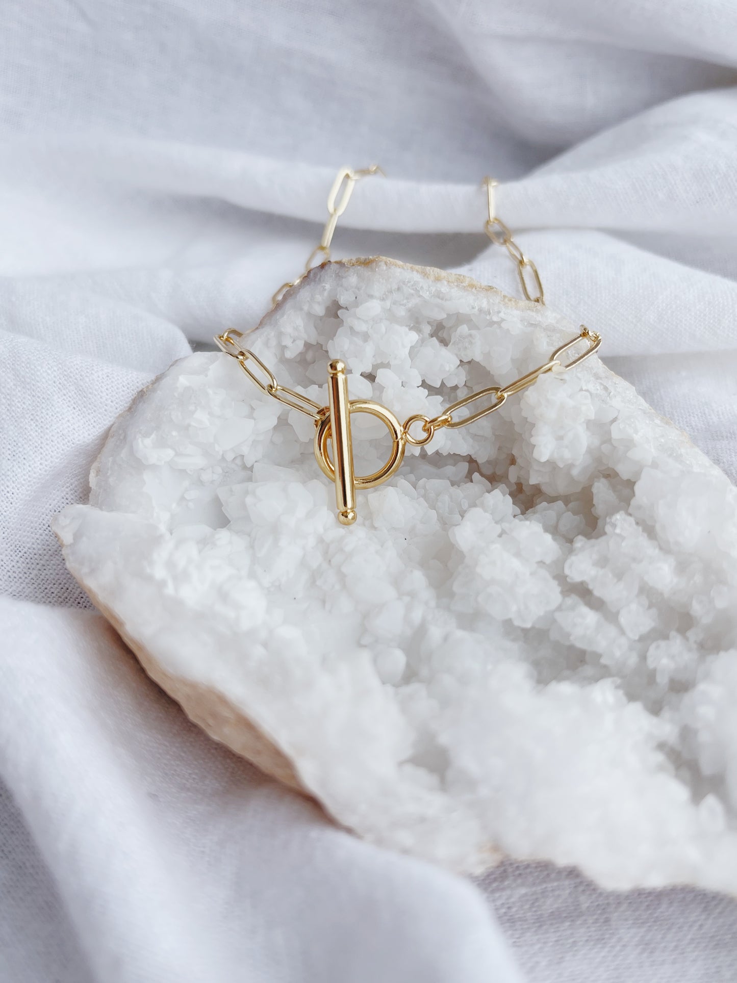 Toggle Clasp Paperclip Necklace