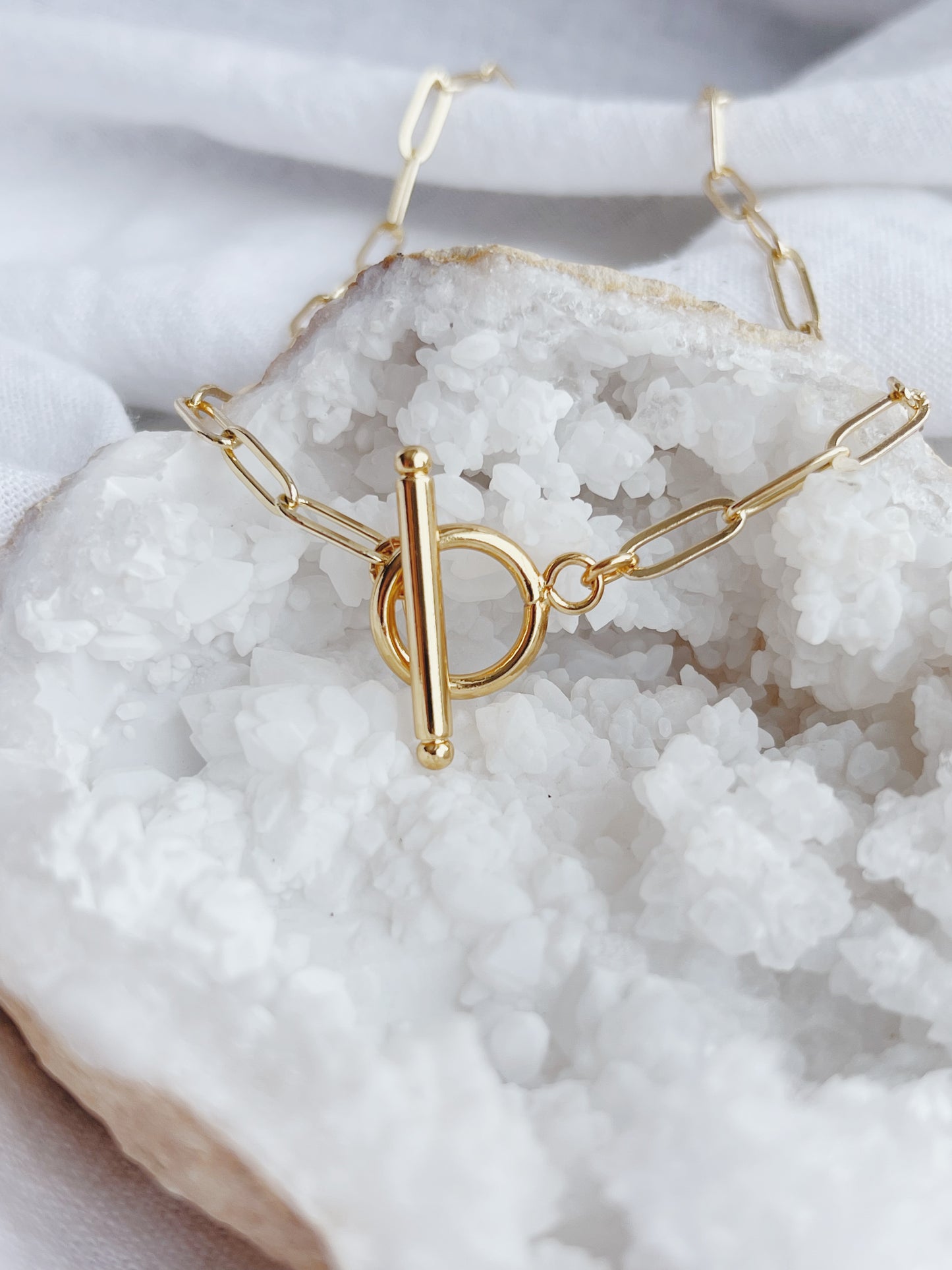 Toggle Clasp Paperclip Necklace